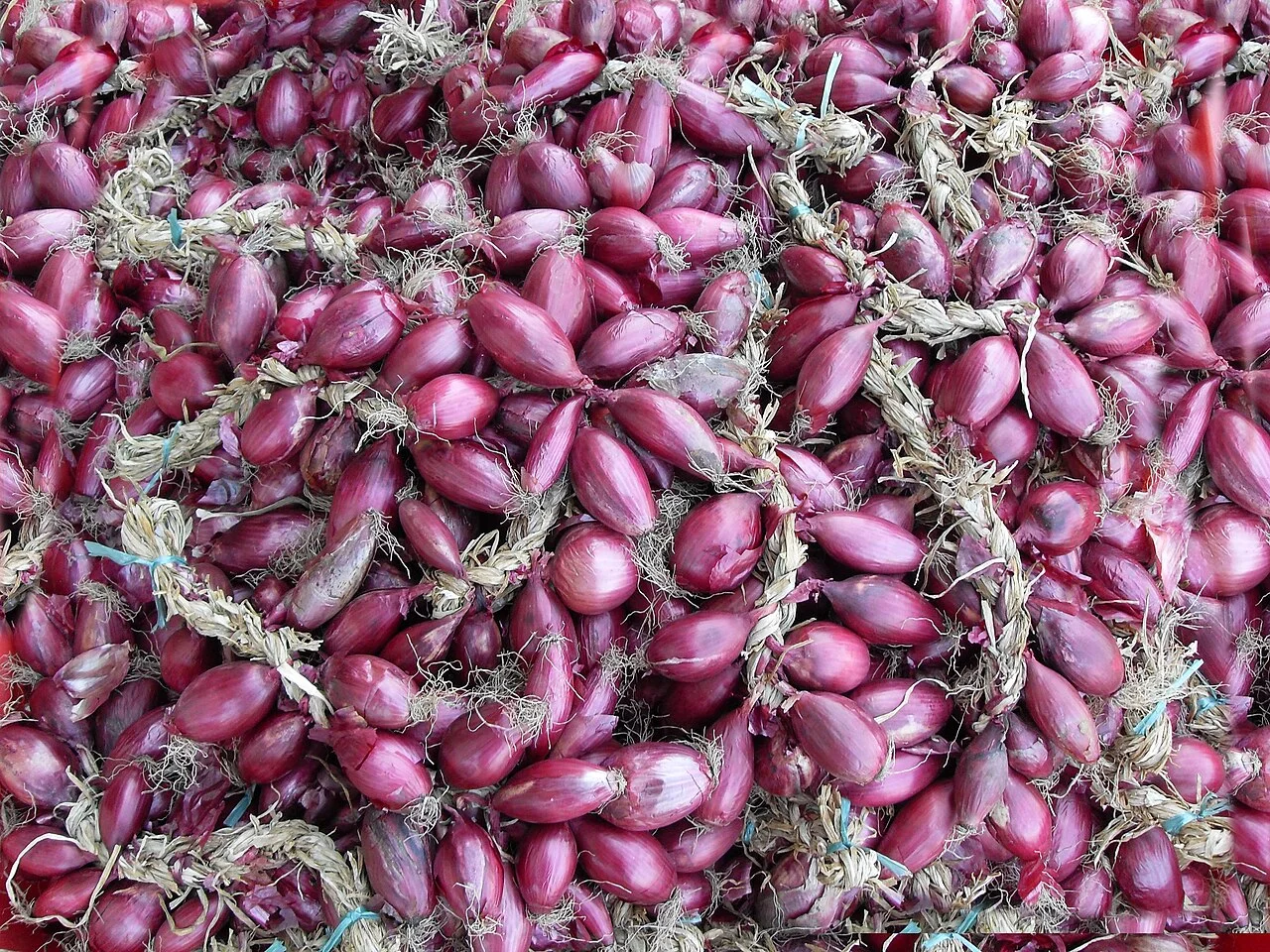 Photo of Campora San Giovanni