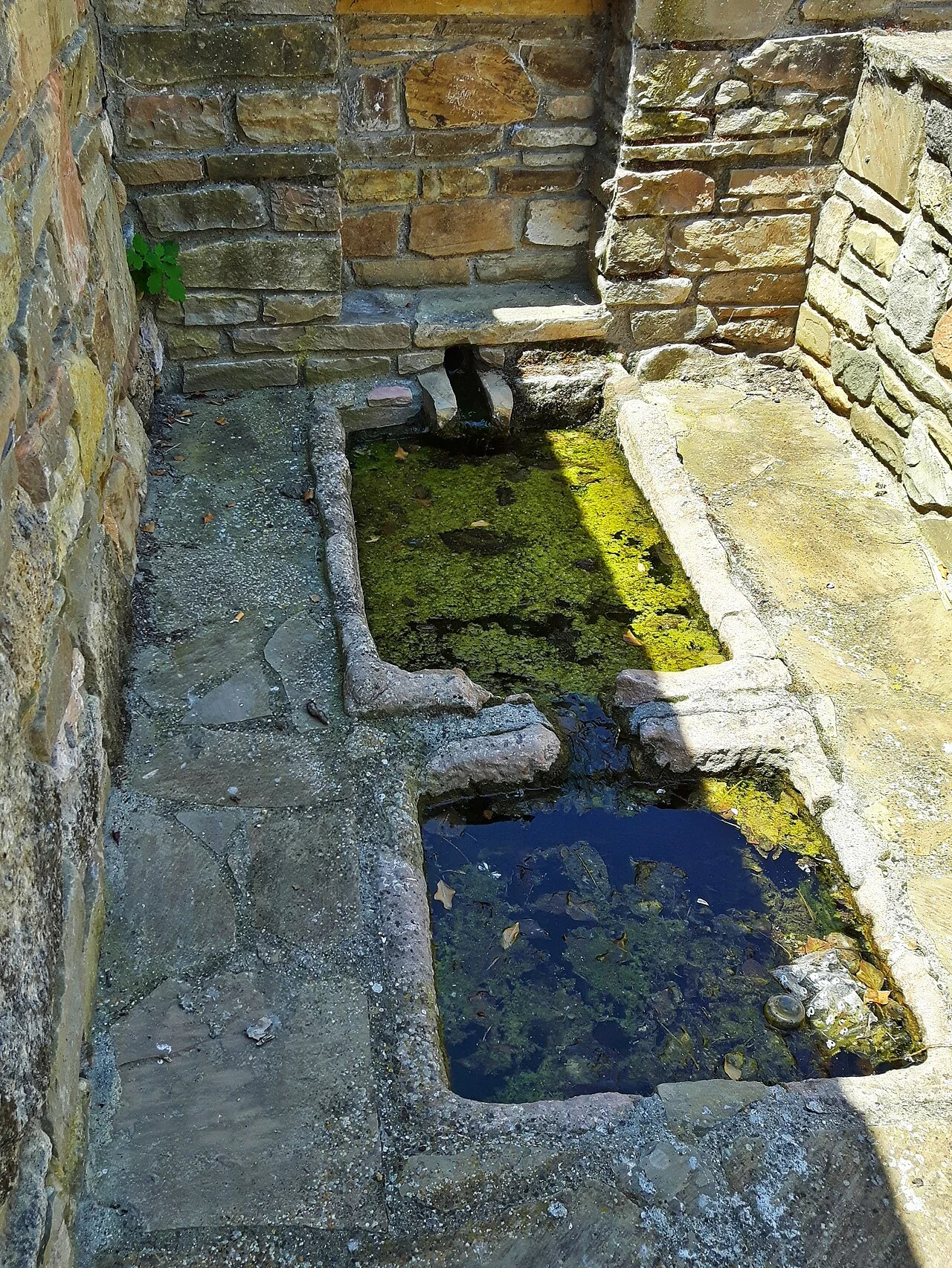 Photo of Camporrells