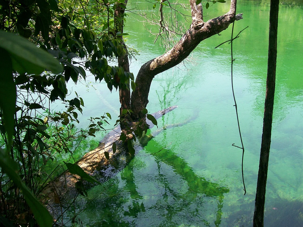 Photo of Campos de Júlio