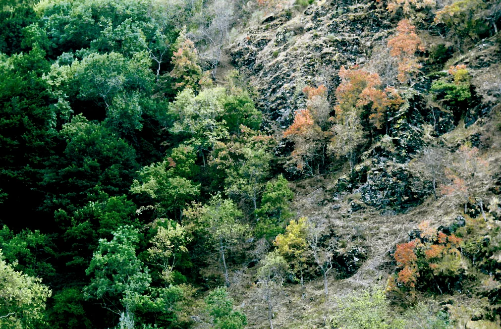 Photo of Canales de la Sierra