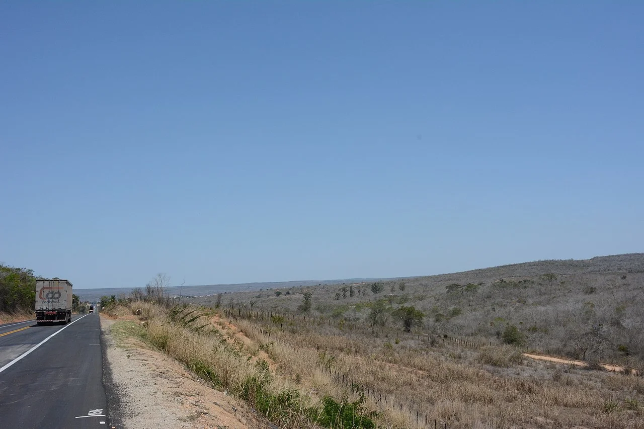 Photo of Cândido Sales