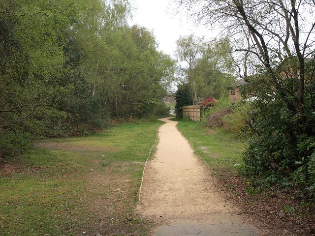Path, Canford Heath