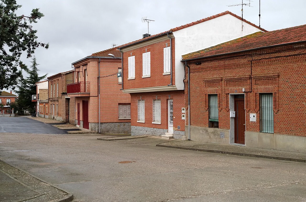 Photo of Cantaracillo