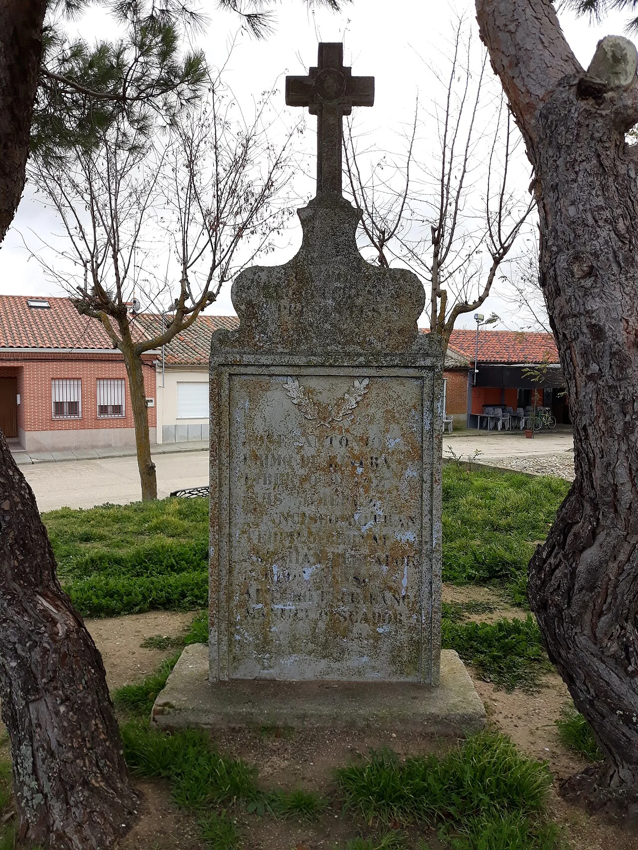 Photo of Cantaracillo