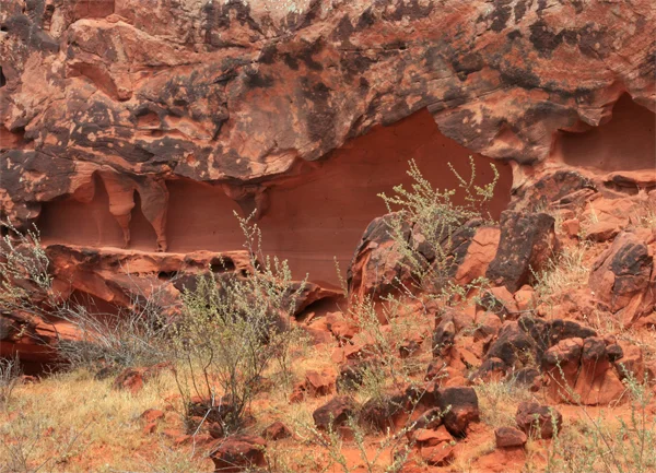 Photo of Canudos do Vale