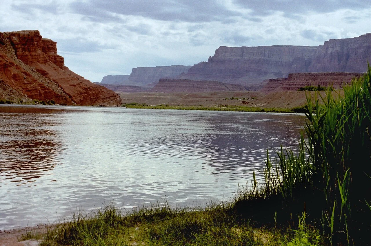Photo of Canyon Rim