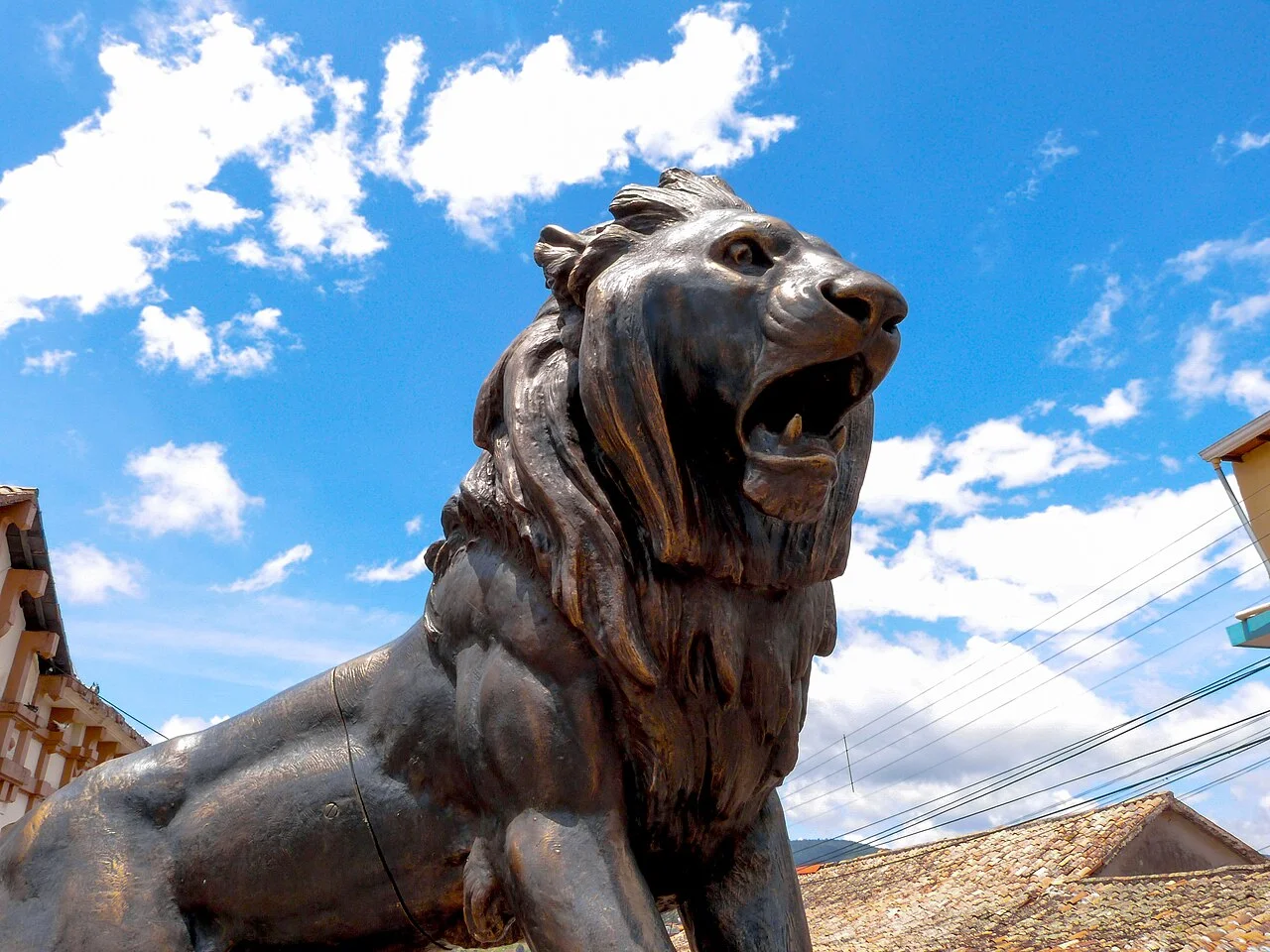 Photo of Capacho Nuevo