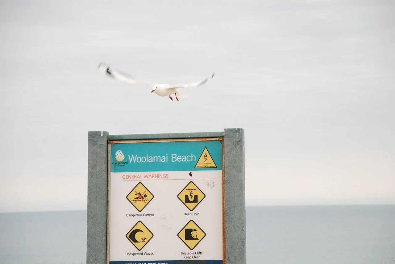 Photo of Cape Woolamai