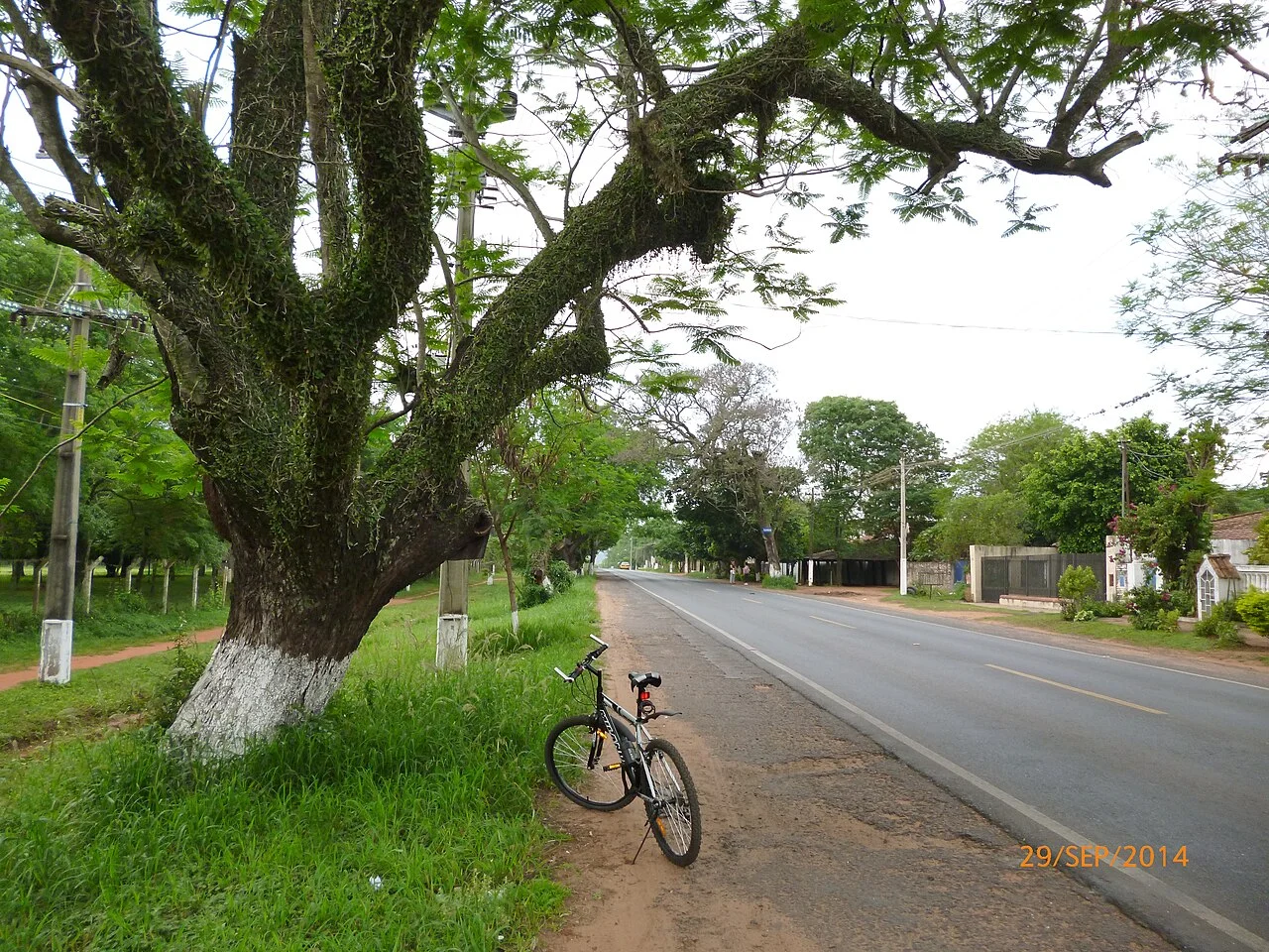 Photo of Capiatá