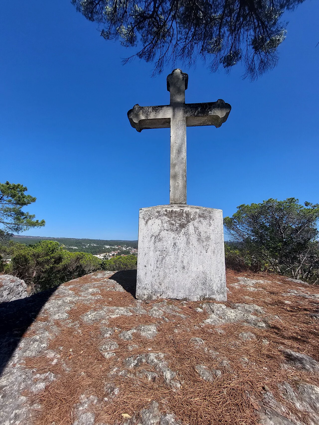 Photo of Caranguejeira