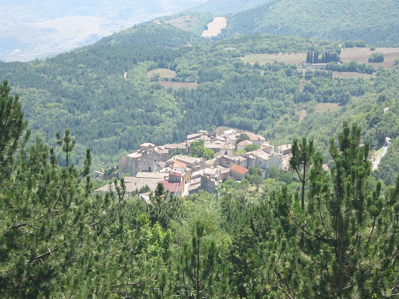 Photo of Carapelle Calvisio