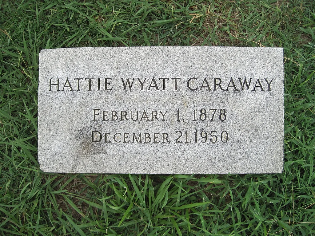 Photo of Caraway