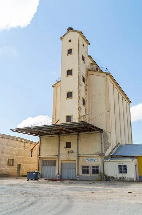 Photo of Carbonero el Mayor