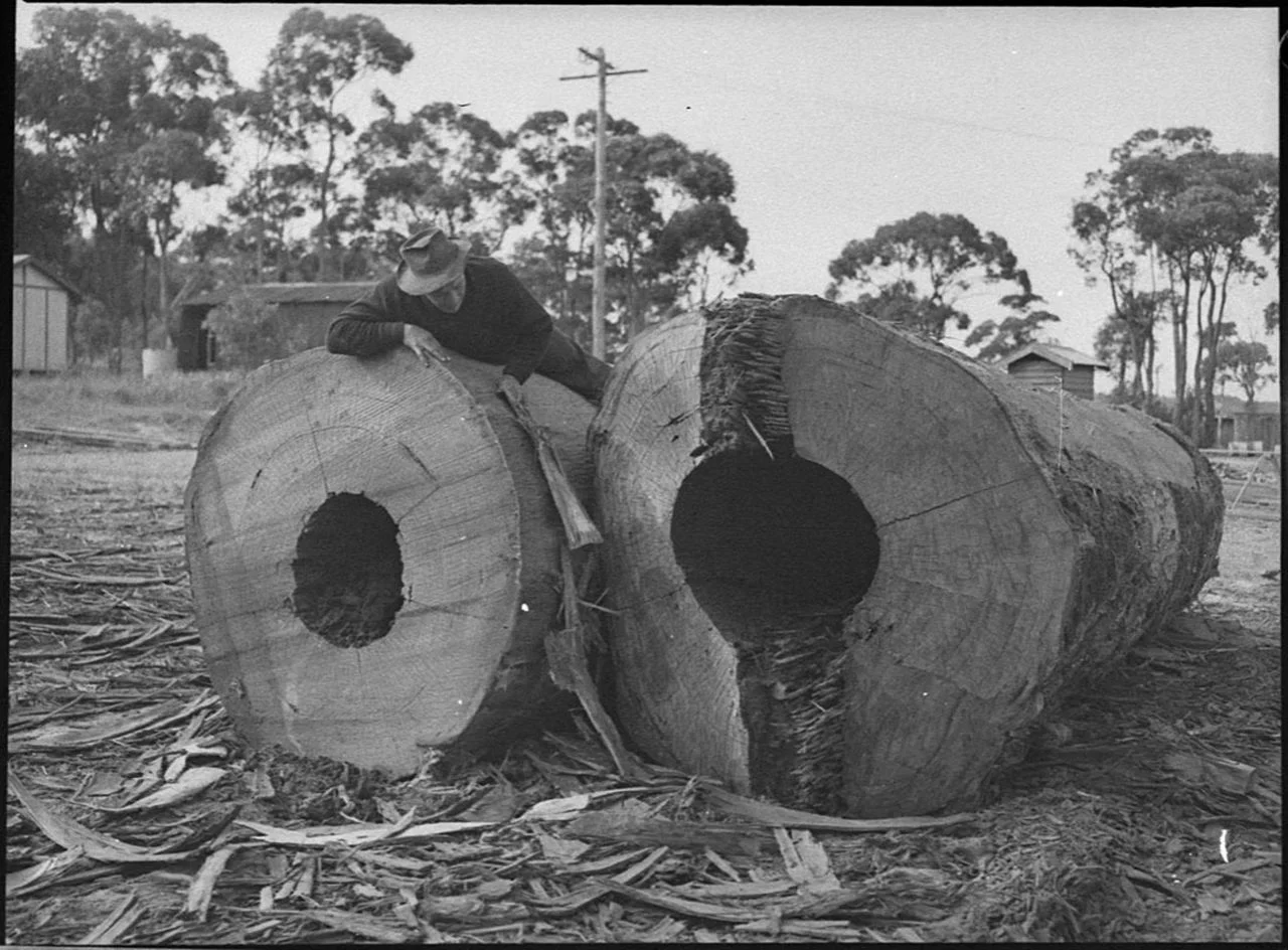 Photo of Cardiff South