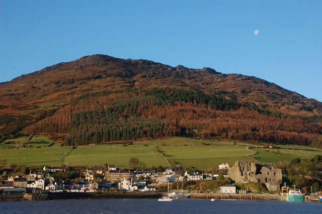 Photo of Carlingford