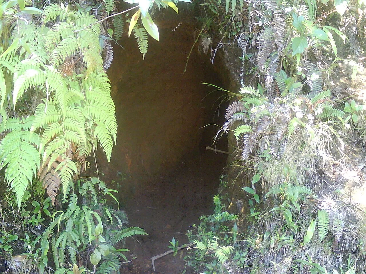 Photo of Carmen de Viboral