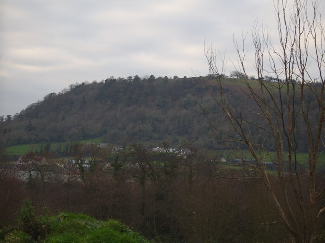 Carnmoney Hill Eastern slope of Carnmoney Hill viewed from Monkstown.