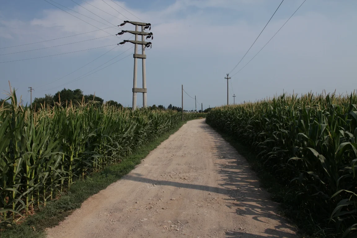 Photo of Caronno Pertusella