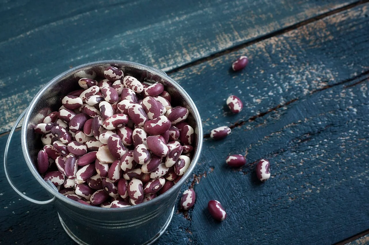 Photo of Carpinteros