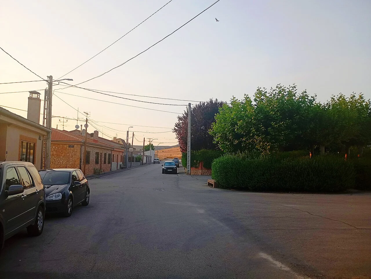 Photo of Carrascal del Río