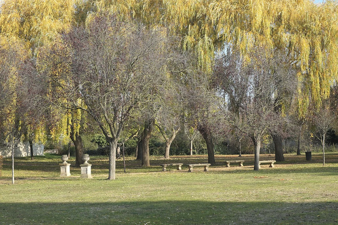 Photo of Carrières-sur-Seine