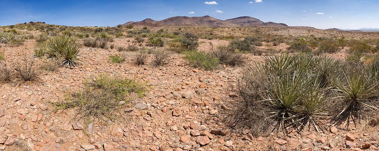 Photo of Carrizalillo