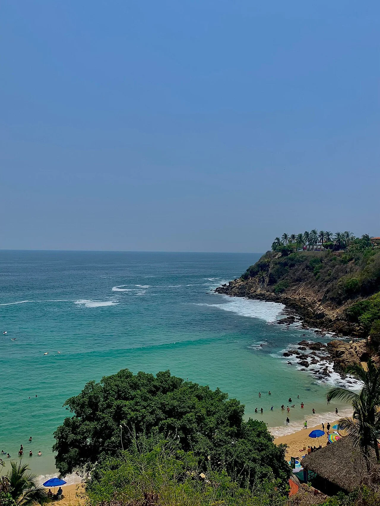 Photo of Carrizalillo