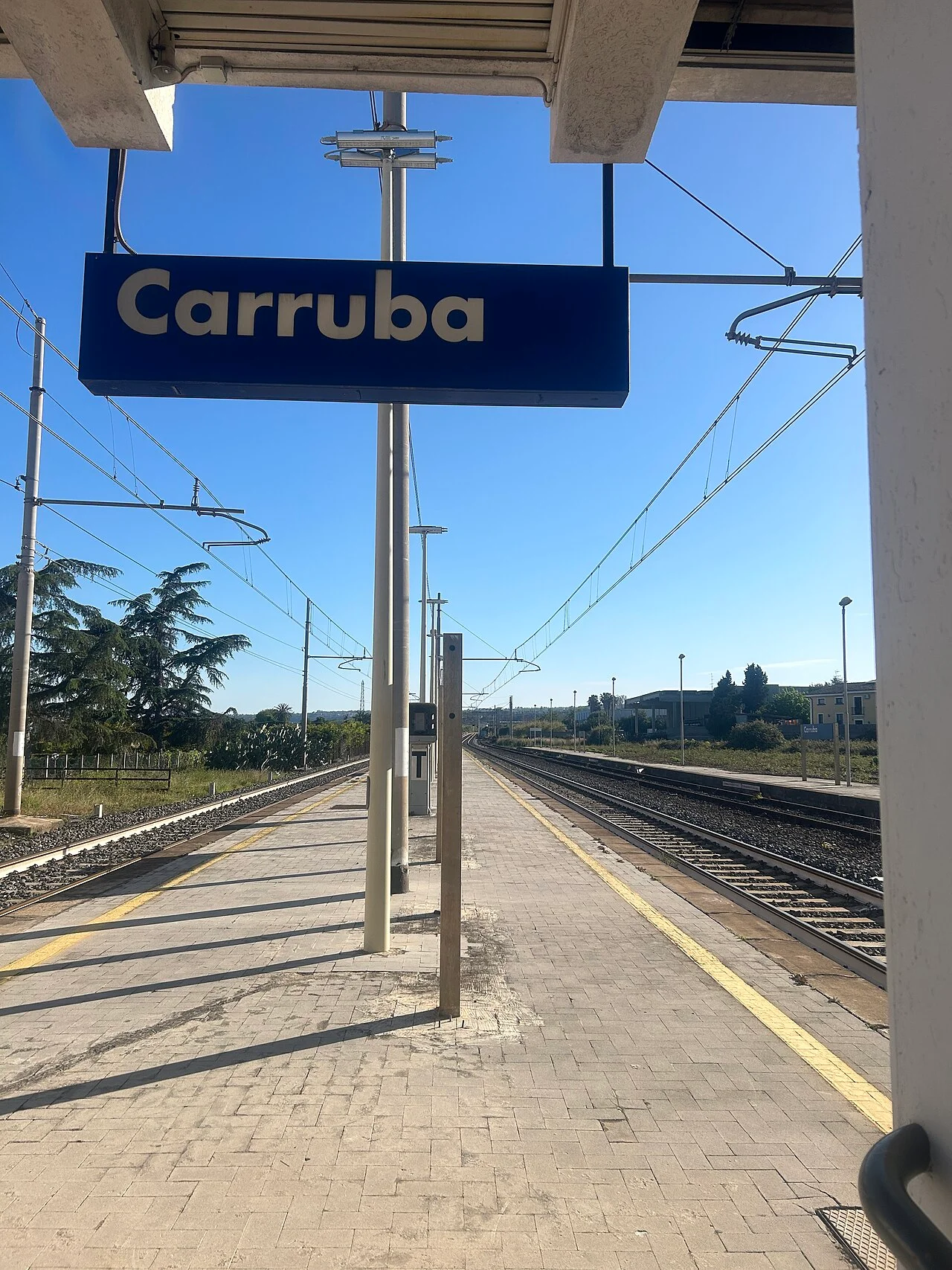 Photo of Carruba