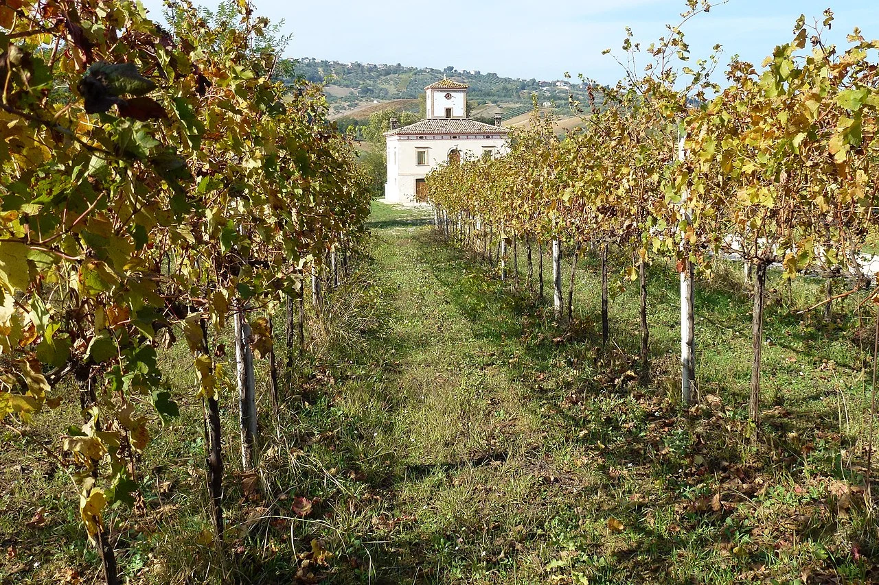 Photo of Casacanditella