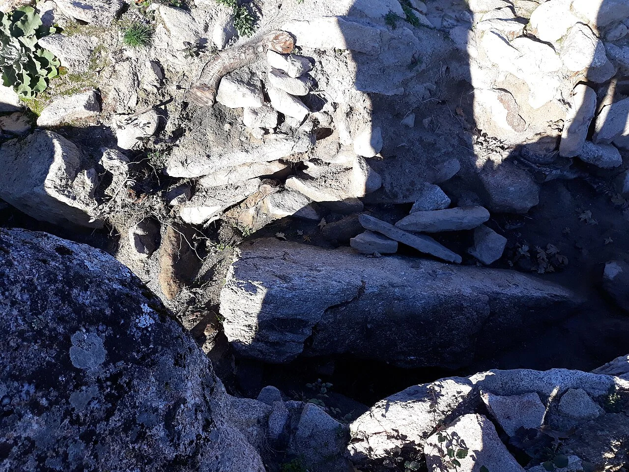 Photo of Casillas de Flores