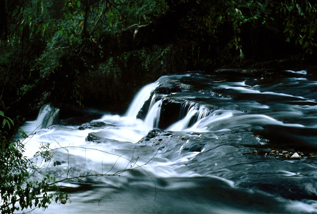 Photo of Cássia dos Coqueiros