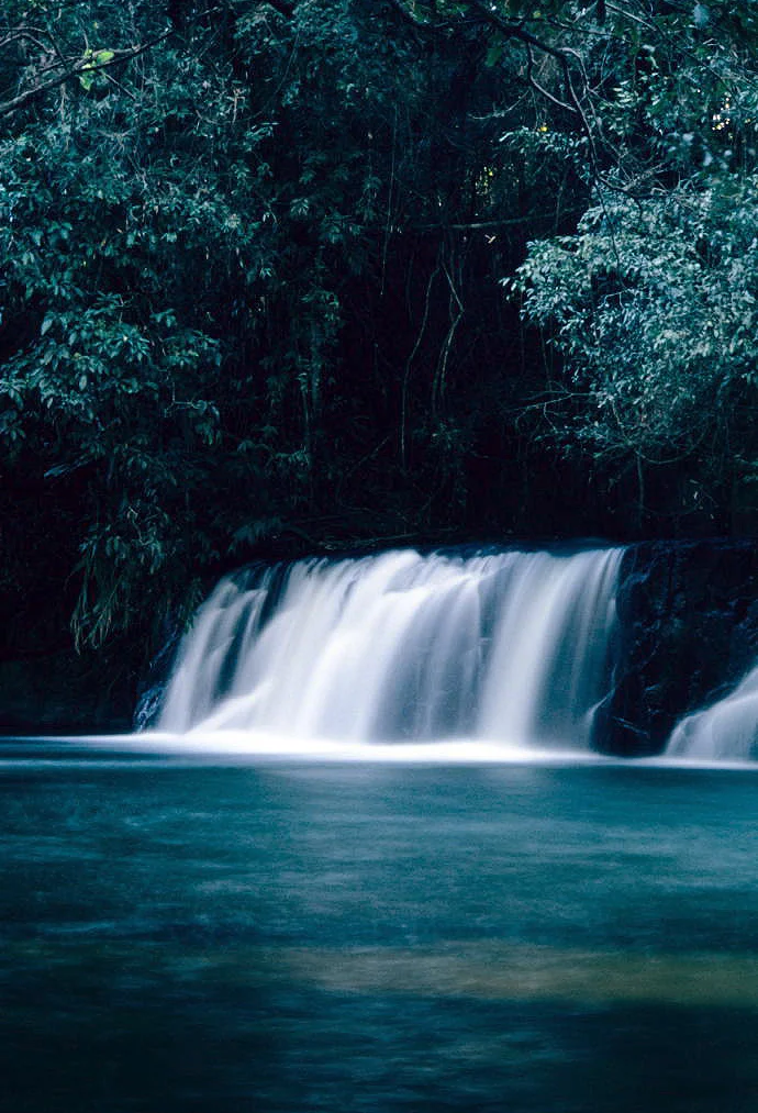 Photo of Cássia dos Coqueiros