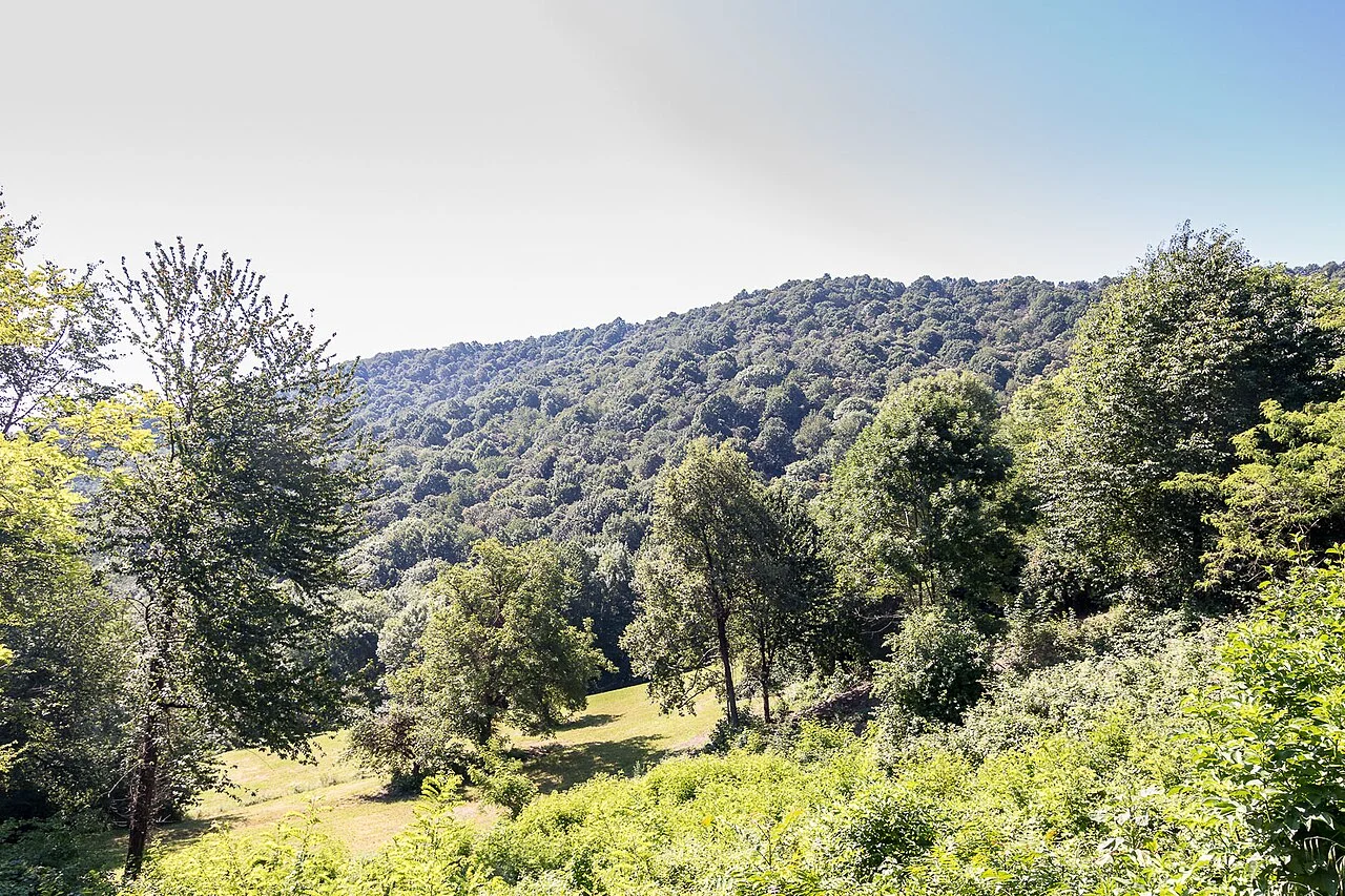 Photo of Castagneto Po