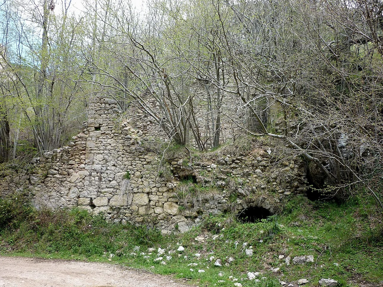 Photo of Castellar del Riu
