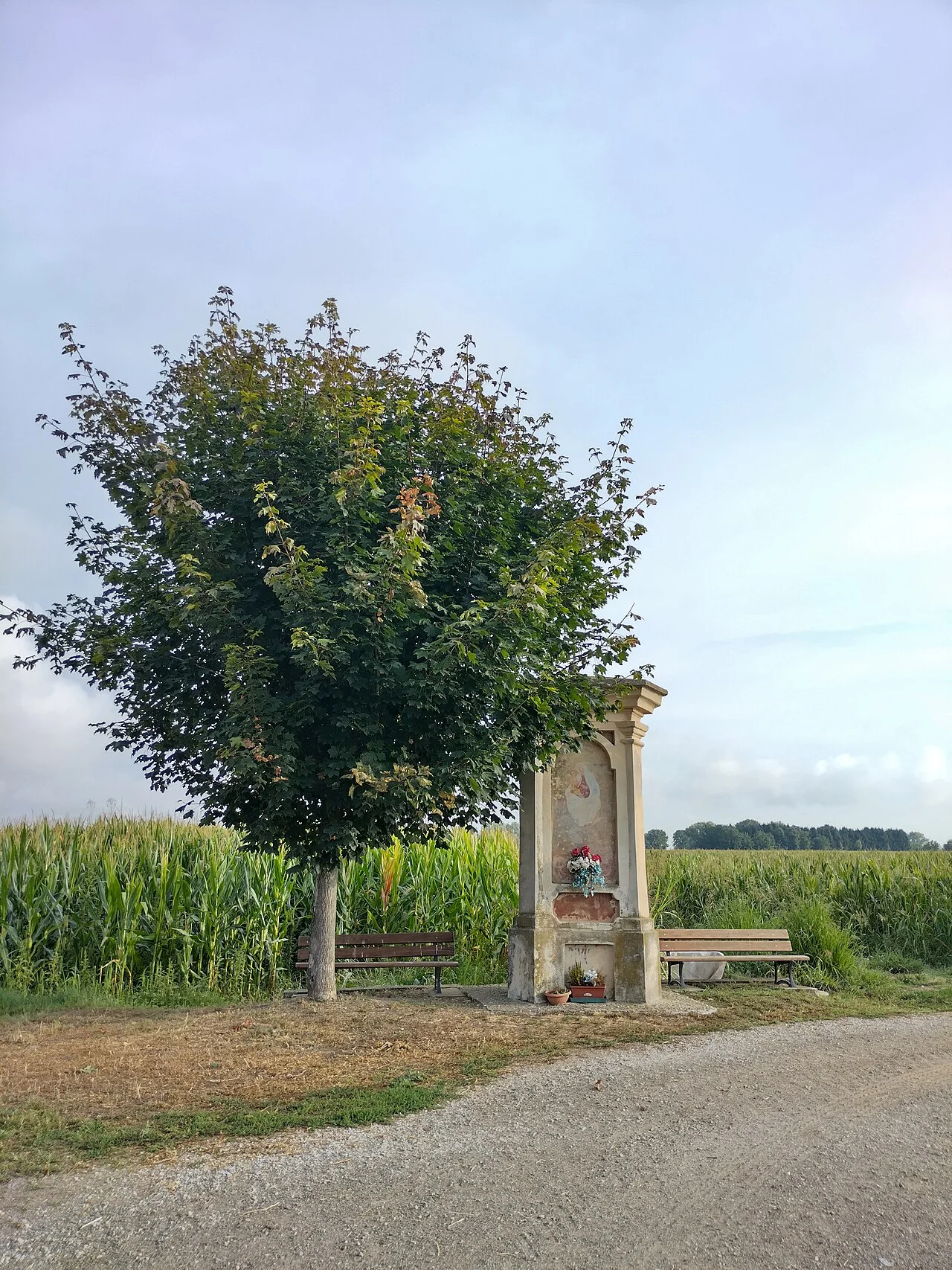 Photo of Castelletto Stura