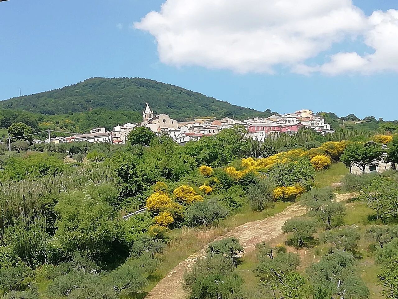 Photo of Castelmauro