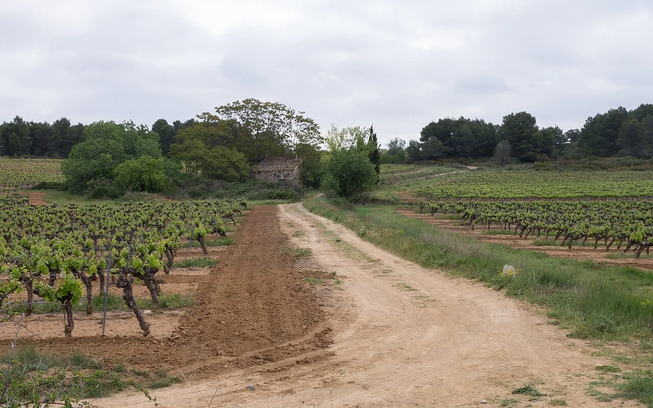 Photo of Castelnau-de-Guers