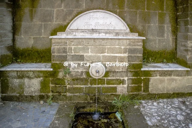 Photo of Castelvenere