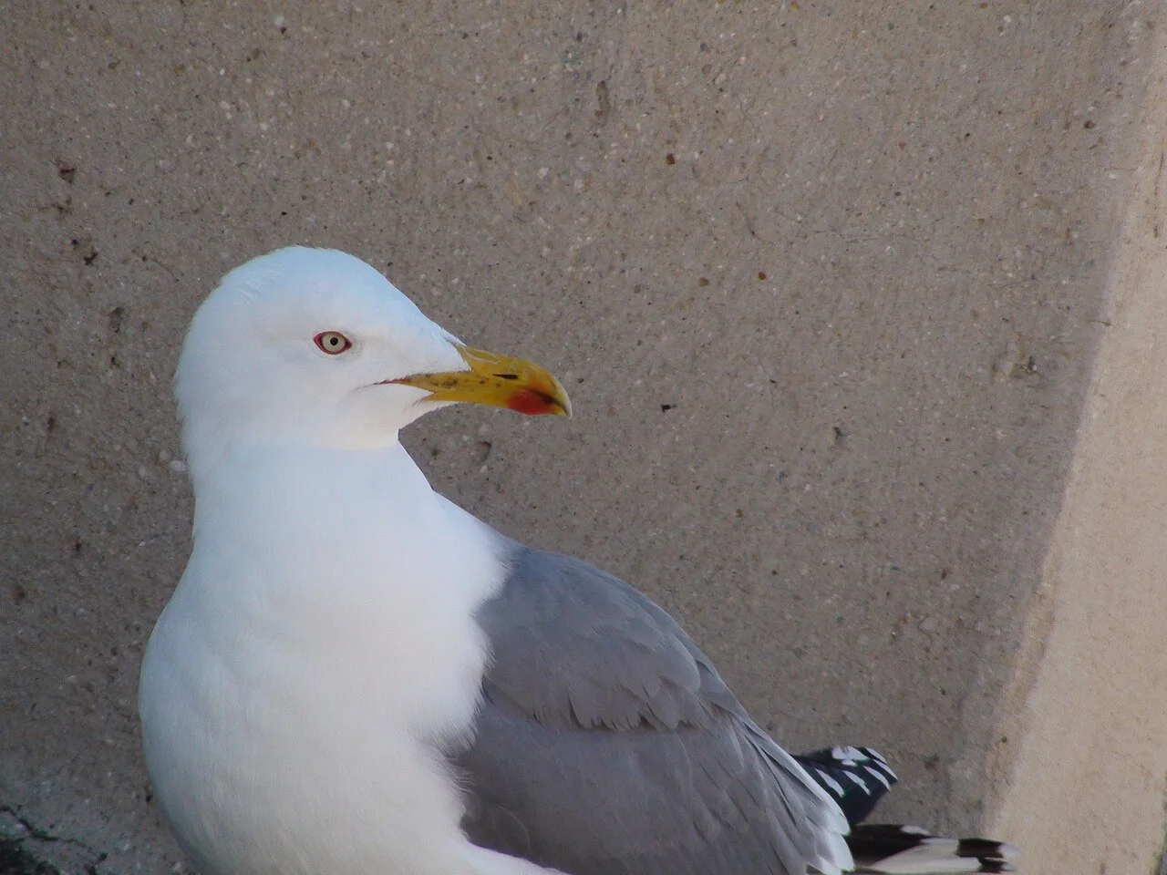 Photo of Castiglione Messer Marino