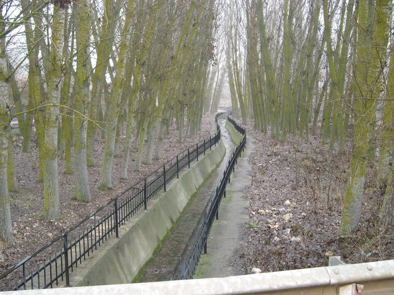 Photo of Castillejo de Robledo