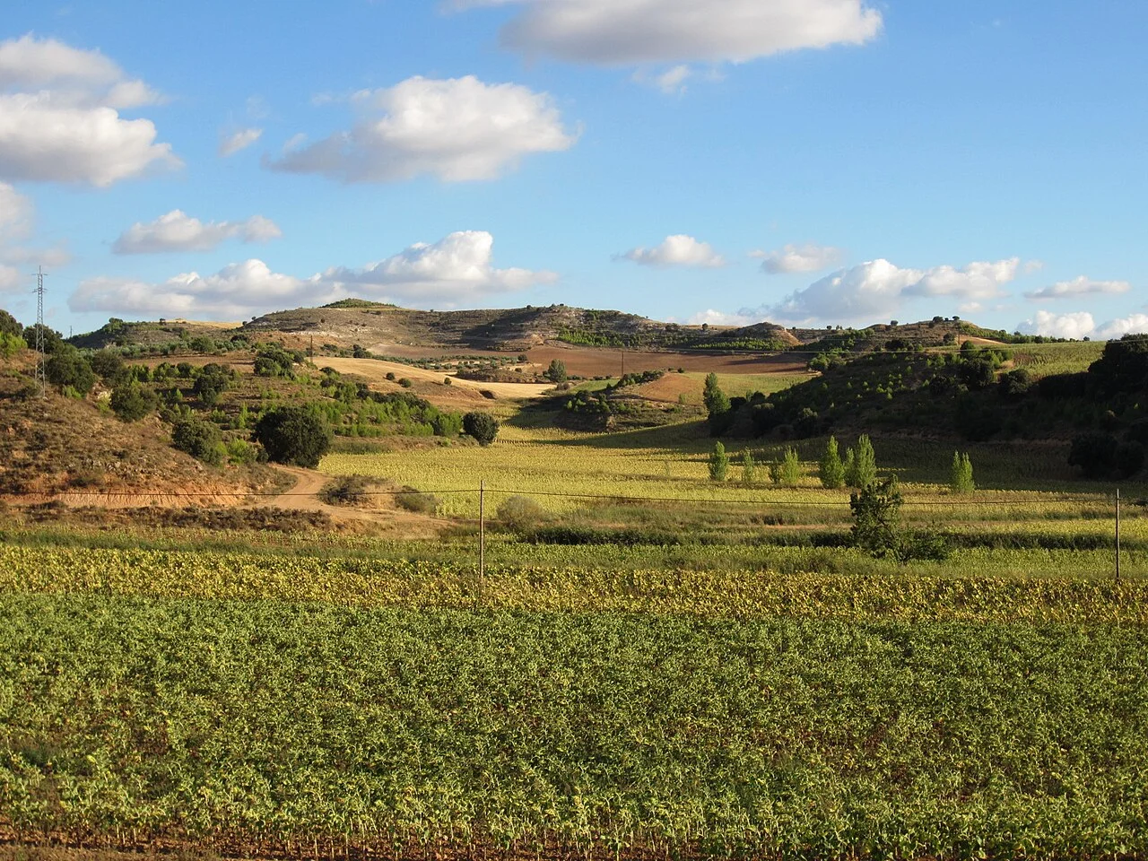 Photo of Castillo-Albaráñez