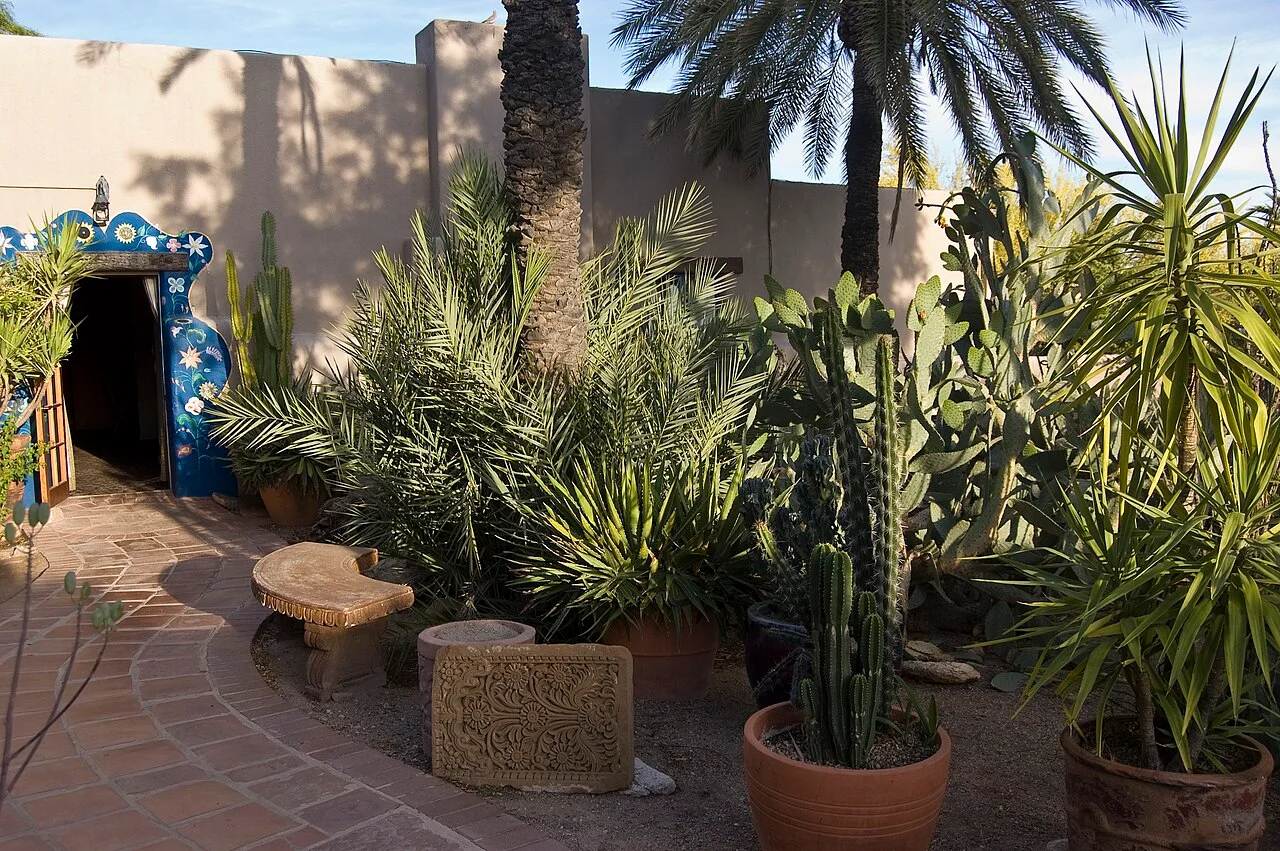 Photo of Catalina Foothills