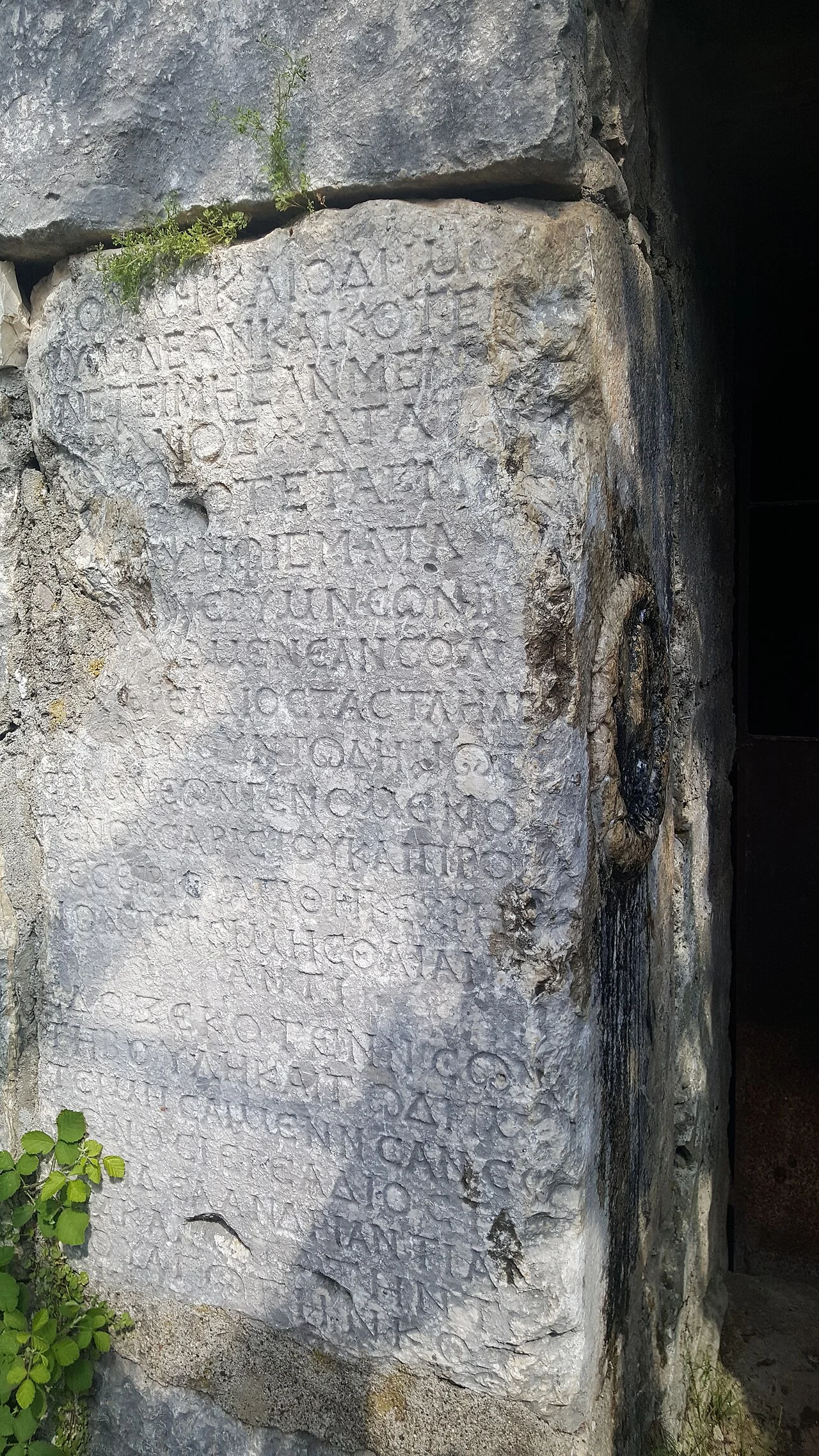 Photo of Çatalpınar