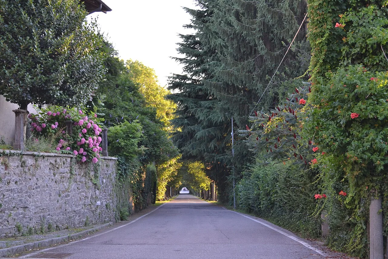 Photo of Cazzago Brabbia