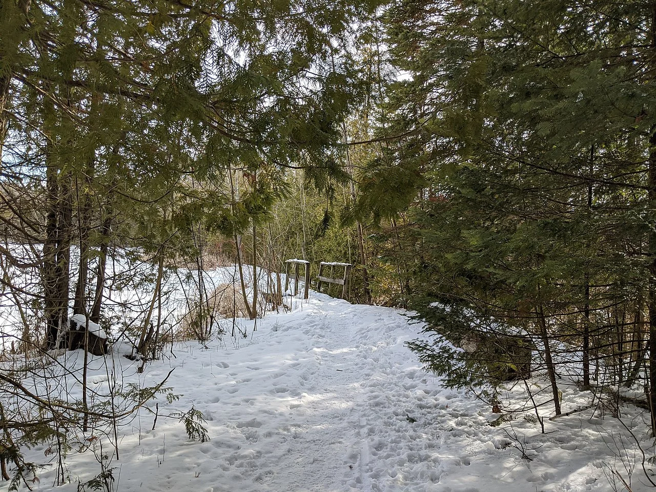 Photo of Cedar Valley