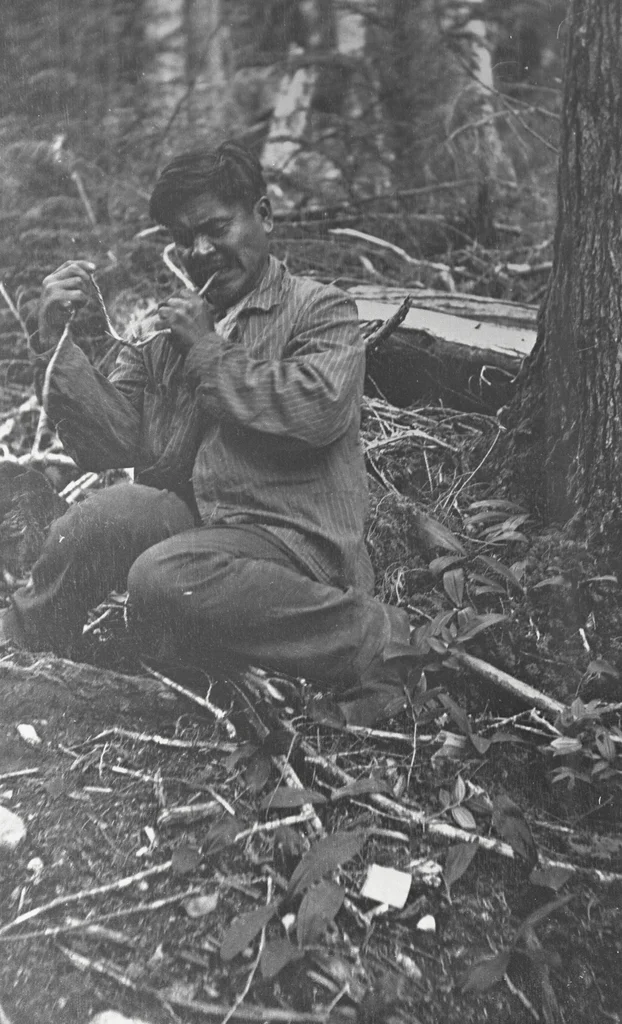 Photo of Cedar Valley