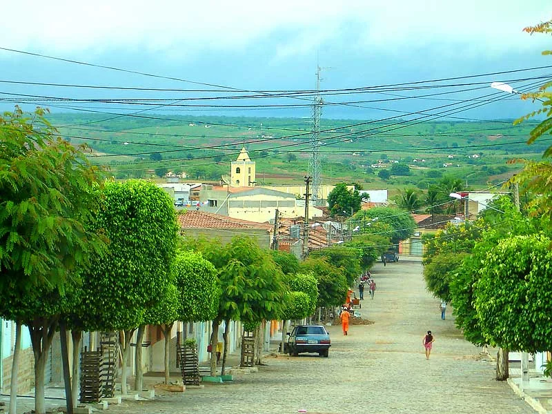 Photo of Cedro