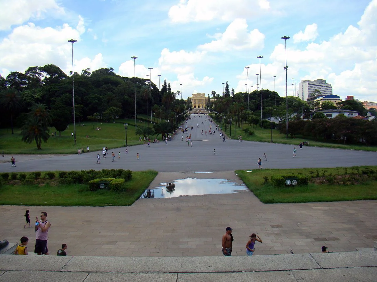 Photo of Cedro de São João