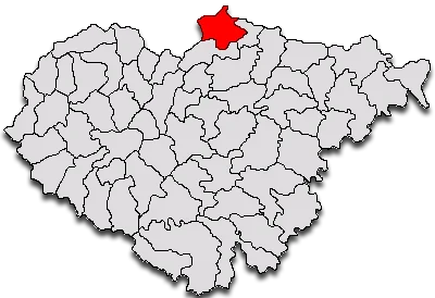 Photo of Cehu Silvaniei