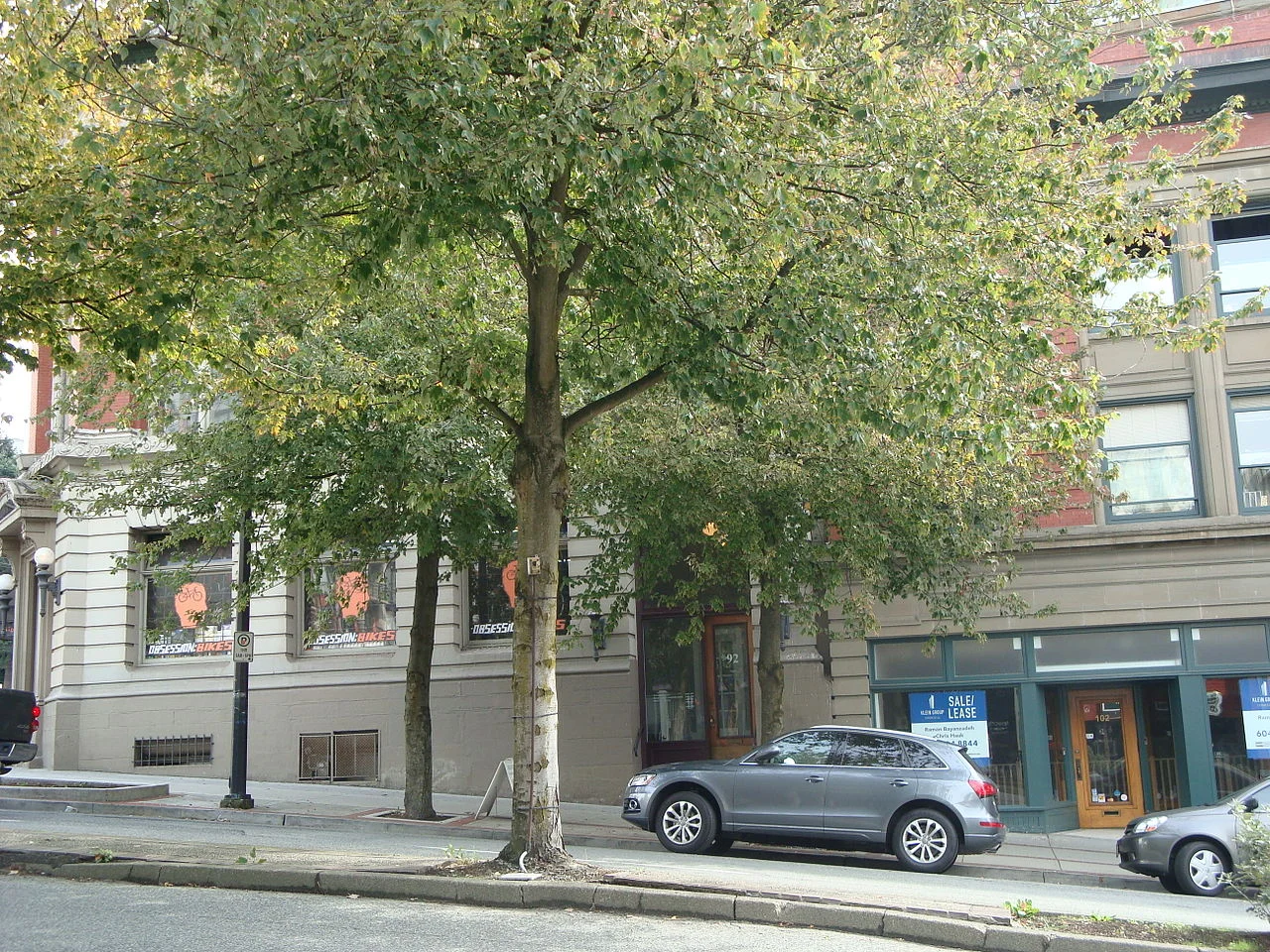 Photo of Central Lonsdale